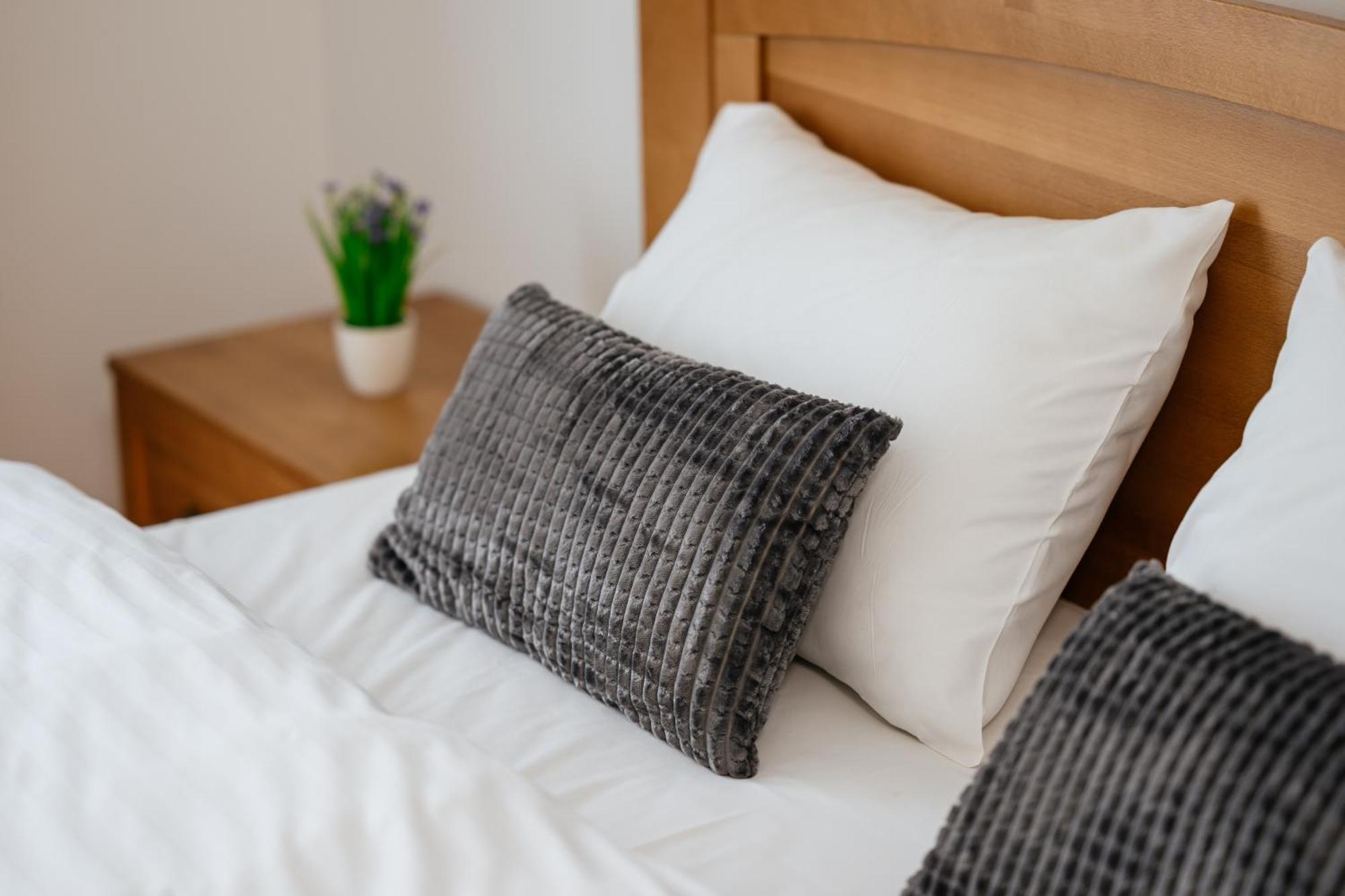 Luxury Apartments Uzhorod Dış mekan fotoğraf